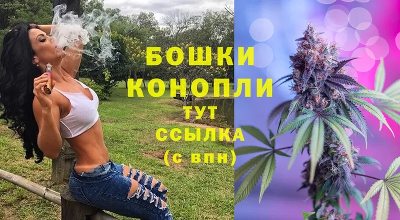 Бошки Шишки индика  Почеп 